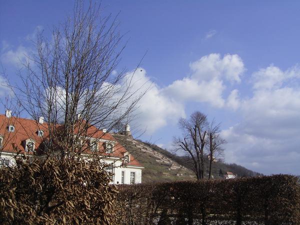 Schloss Wackerbarth 10